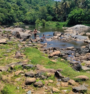 plots and villas for sale